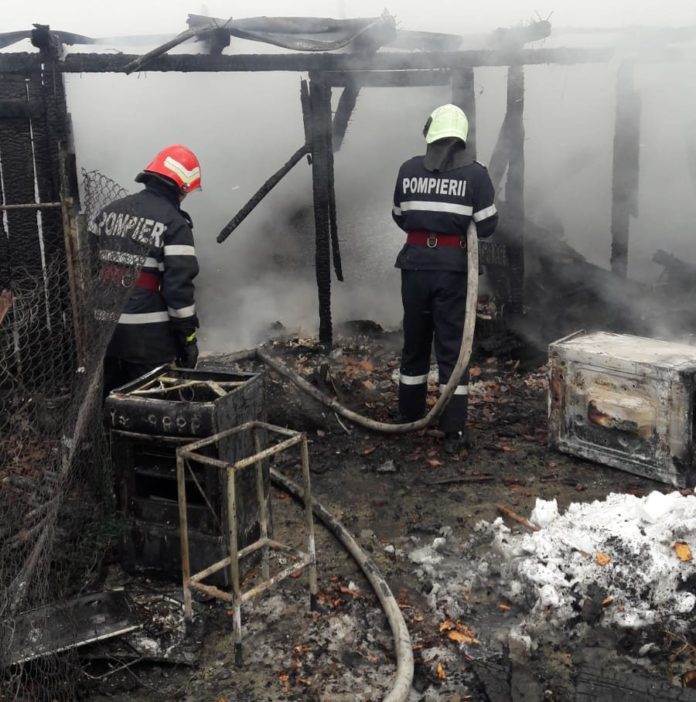 incendiu-poiana-sarata-5