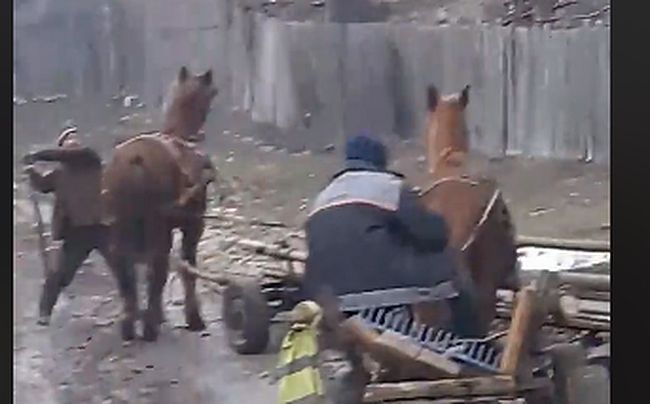 Screenshot 2019-02-13 11.44.31