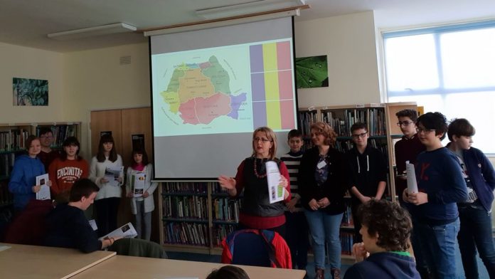 proiect ferdinand (4)