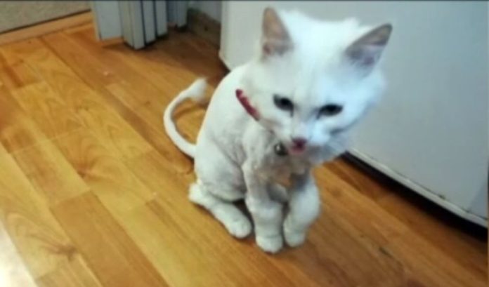 Screenshot 2019-04-23 21.28.35