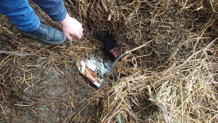 WhatsApp Image 2019-05-18 at 15.02.51