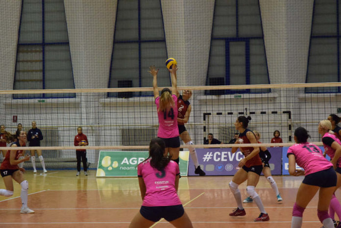 fond volei voluntari