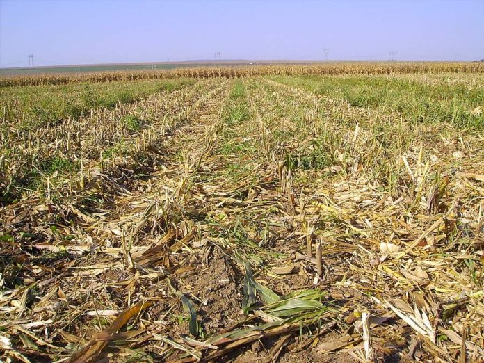 subventii asigurari fermieri