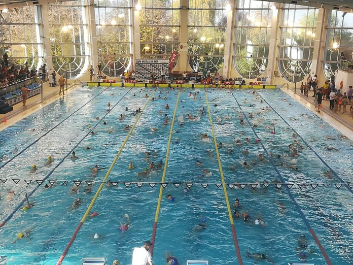 72984565_542297976505404_4076074536867463168_o