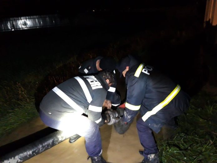 104759610_2430971220339248_2605118365142618421_o