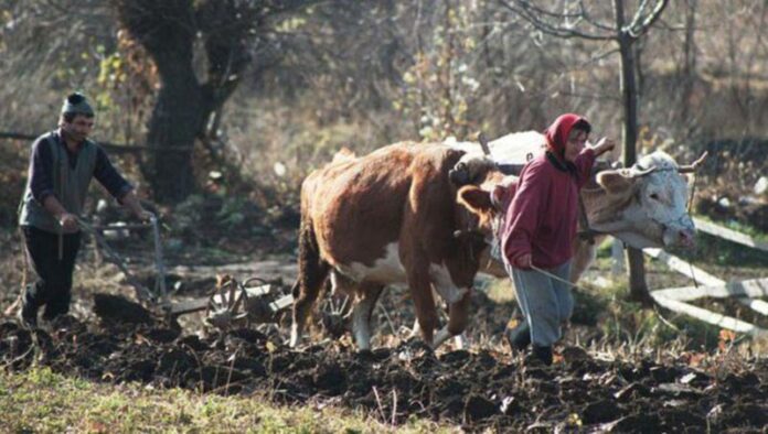 crescatori de animale