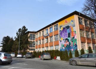 O elevă de la CN Gheorghe Vrănceanu, calificată la trei olimpiade naționale