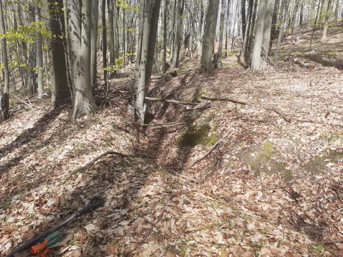 181390675_1189691818118561_8946213934792361816_n