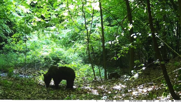 200468682_2588489091445466_8108482398736627016_n