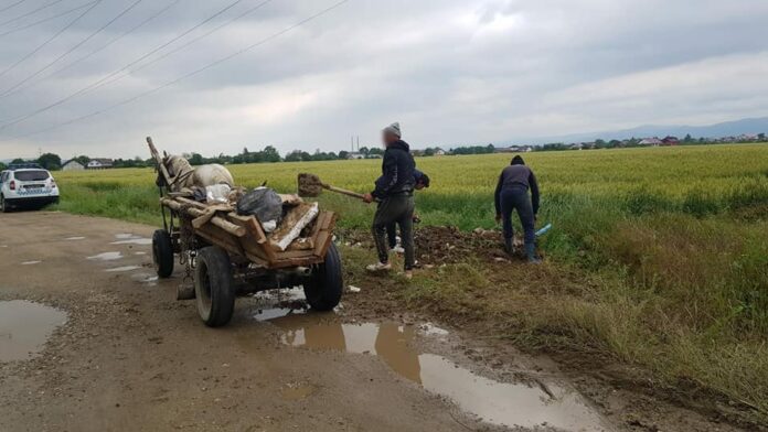 201242624_1665075163882040_682108993937668114_n