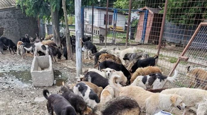 213133809_4333758486645159_163807902735885680_n