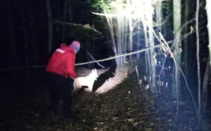 242867557_2655411004753274_2609115179736511732_n