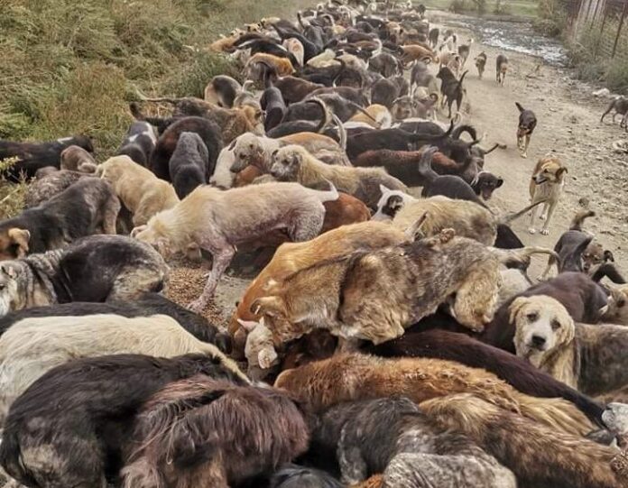 243343540_4601886333165705_5435342299859547175_n