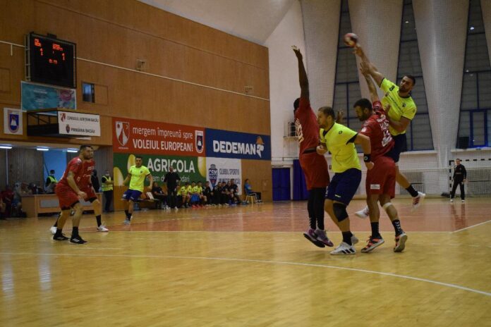 handbal SUS minaur