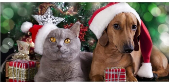 WhatsApp Image 2021-11-29 at 11.29.01 (1)