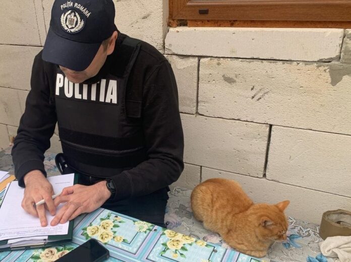 PHOTO-2022-05-23-12-00-36