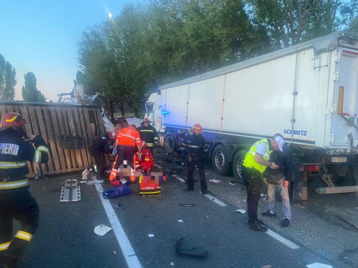 WhatsApp Image 2022-05-21 at 09.17.42