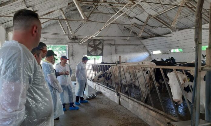 cursuri zootehnisti Directia Agricola (16)