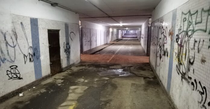 289438020_570311967791075_5093168389870357895_n