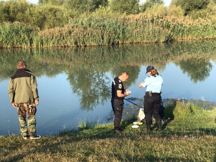 940d379f-0069-4261-8e1d-b3bb9f2a2427