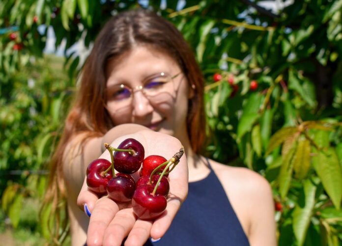 cirese Bogdanesti (11)