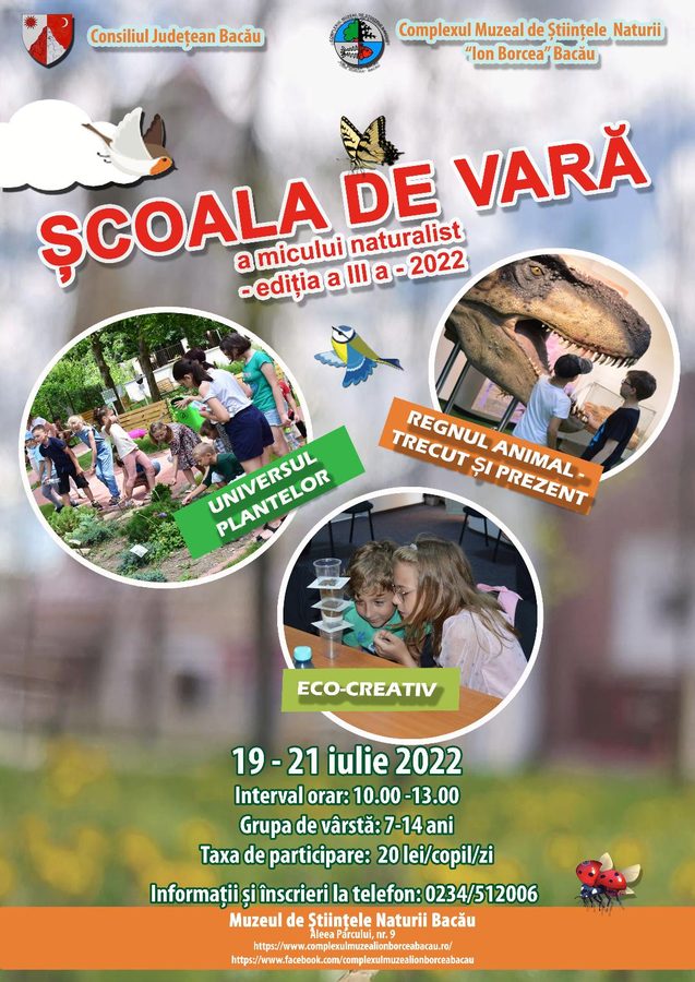 scoala de vara