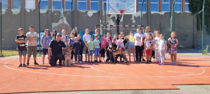 7e13524e-eee7-4941-9b78-09b28999e655