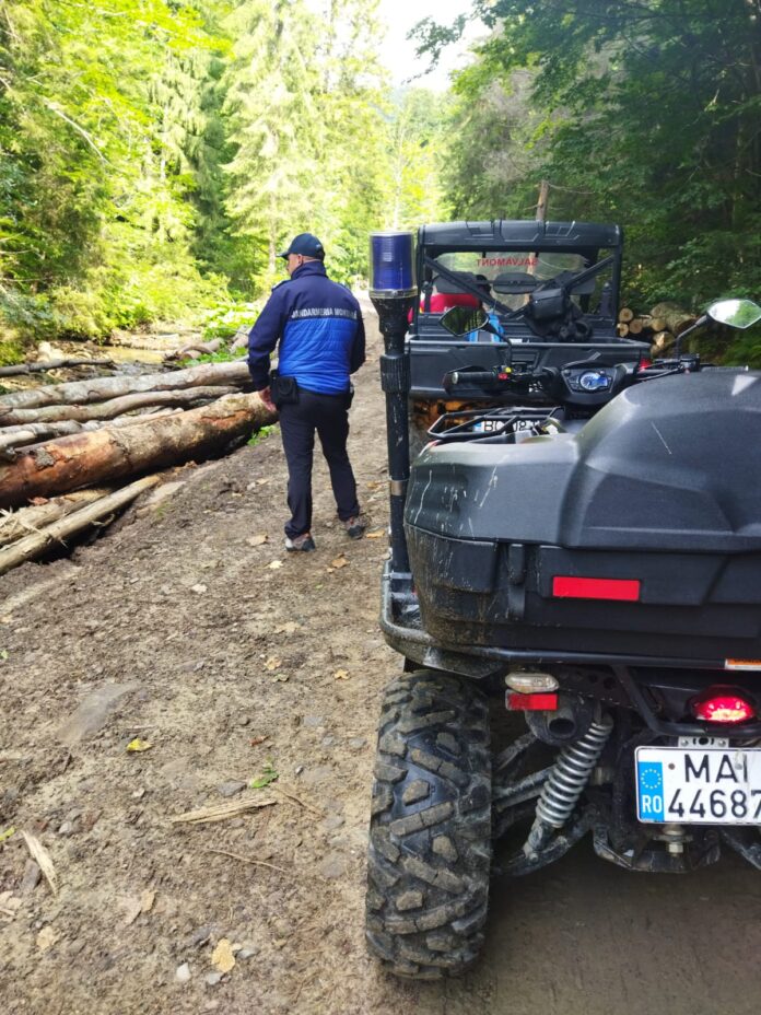 WhatsApp Image 2022-08-06 at 19.23.03