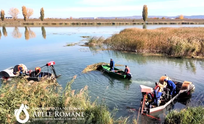 316412845_442028991436825_7536185550588054850_n