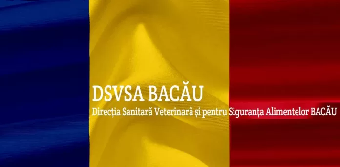 dsvsa