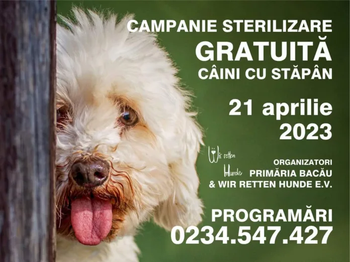 338309214_789905956042504_8798427537690779925_n