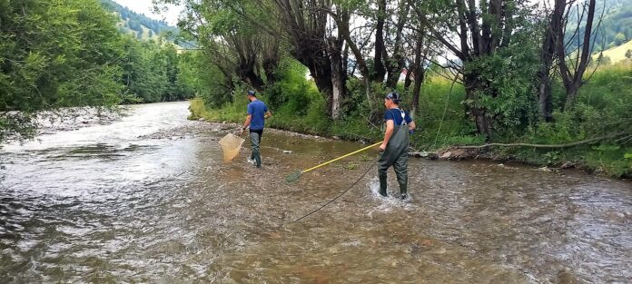 365446492_593096472996742_3137727765208785983_n