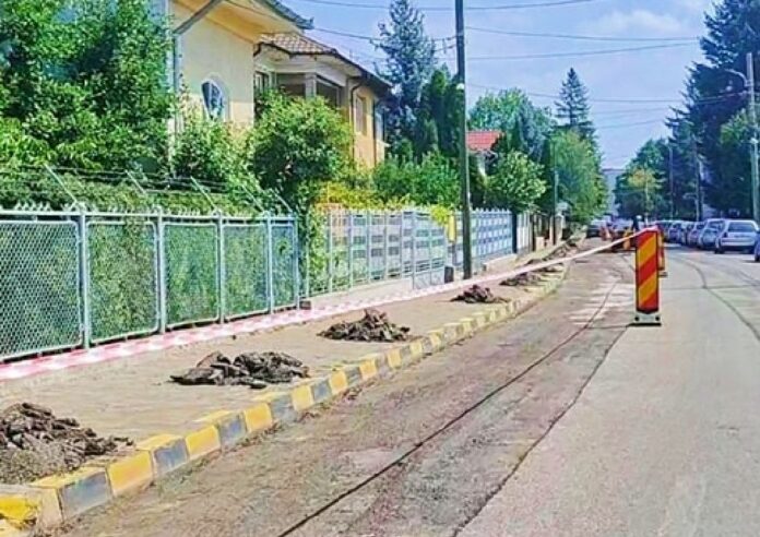 369694495_613556557632496_2233695880598866299_n (1)