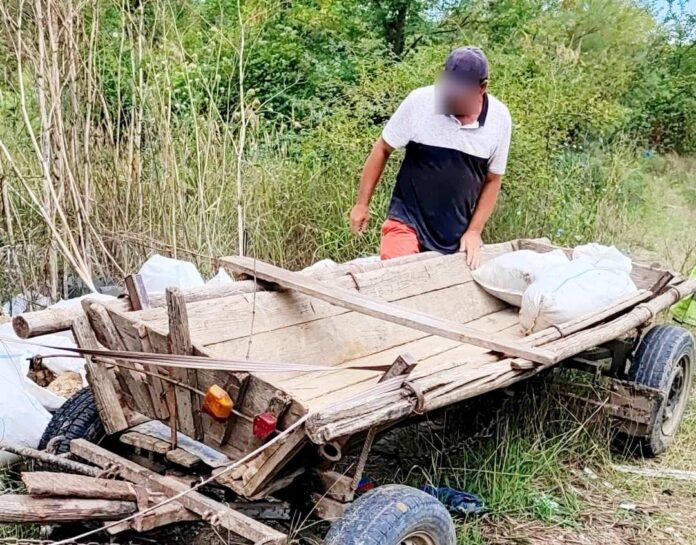 764a0feb-551d-49f2-9e1c-7e88a157d765