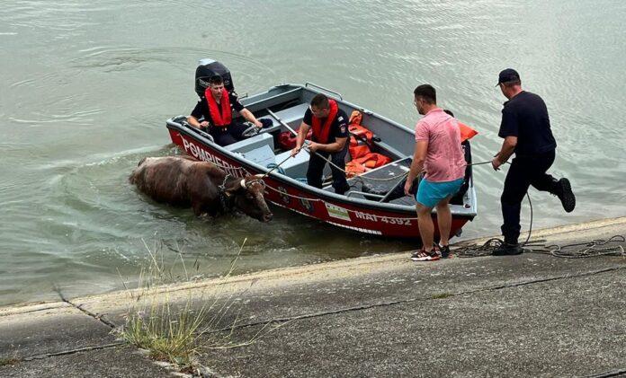 9bcfb3c2-0b6b-4867-98d2-a655ef1ffbab