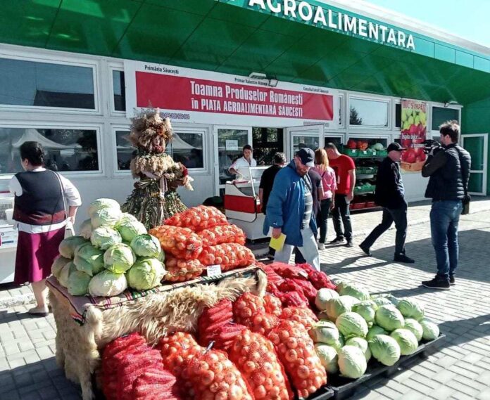 392772803_10220081739828632_3684952181195211873_n