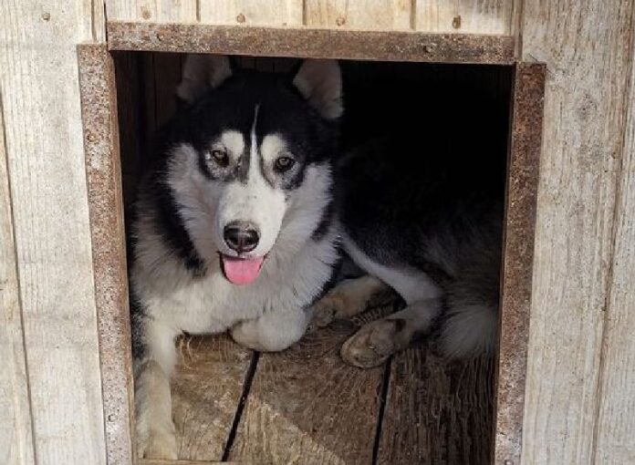 393173545_6994491237238524_8332373008475342529_n