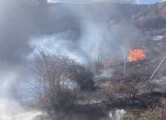 Avertizare Cod Galben de vânt: autoritățile recomandă măsuri stricte de prevenire a incendiilor