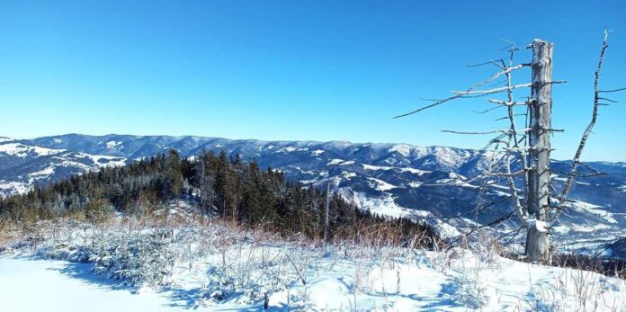 421966303_3213587162268986_6831745076100693340_n