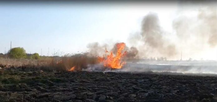 436877449_444106241334503_4547303355655147989_n