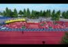 Consiliul Local Bacău actualizează indicatorii financiari pentru Athletic Park, investiție de peste 72 de milioane de lei