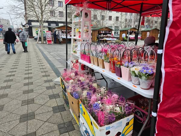 481285230_673274338699810_1226997388424302978_n