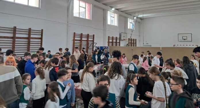 WhatsApp Image 2025-02-23 at 8.00.42 PM