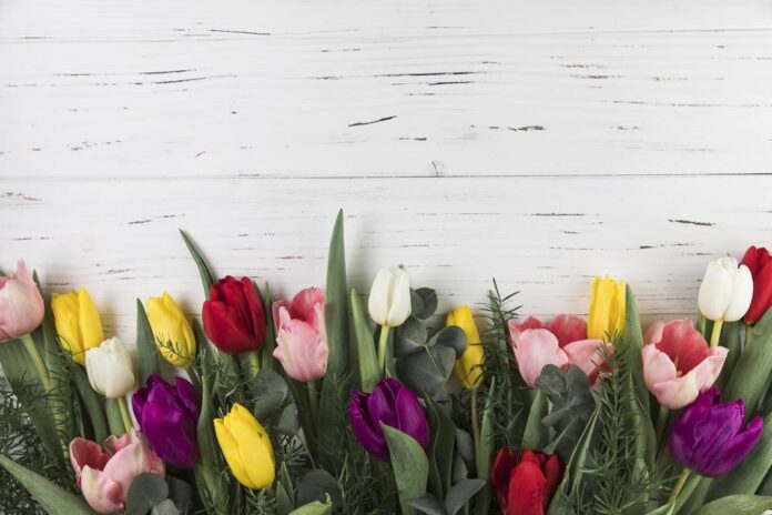 colorful-leaves-arranged-bottom-wooden-surface