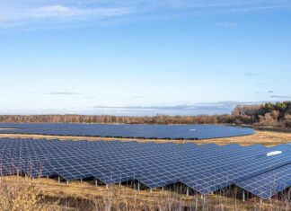 Consiliul Județean Bacău a dat ordinul de începere a proiectării parcului fotovoltaic de la Săucești