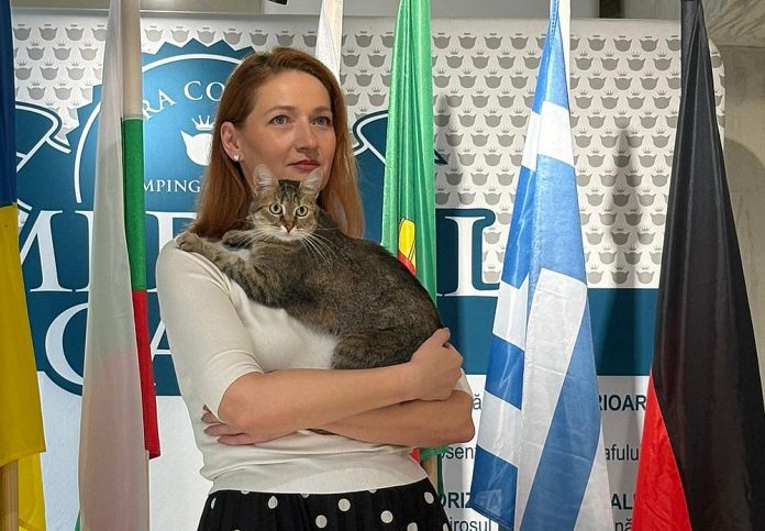 Nuca campioana Romaniei la pisica de casa