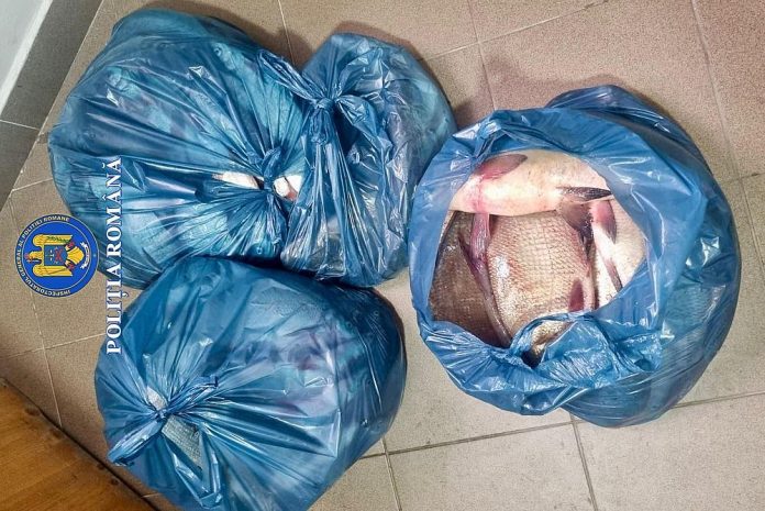 Confiscare piscicol (2)