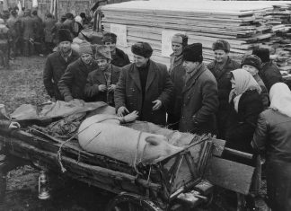 Porcul, ciobanul și paradoxul românesc.De ce un popor de păstori își sacralizează porcul