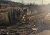 Accident între două autoutilitare la Grigoreni: un șofer a murit