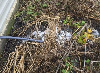 Avertisment dur de la Garda de Mediu Bacău: un operator economic din Ardeoani, sancționat drastic pentru poluare